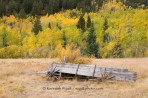 fall color, wagon, Ashcroft, Aspen, Colorado